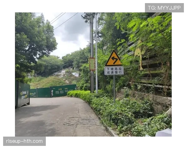 汉堡中路现路面渗透隐患，专家呼吁强化交通安全管理