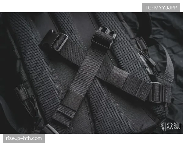 拉菲尼亚数据波动背后的战术角色与状态稳定性分析 拉菲尼亚数据波动背后的战术角色与状态稳定性分析